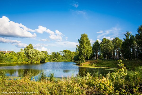 Природа Шахунского района