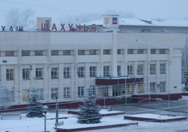 Березовая роща Тутаев