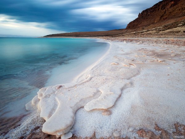 Мертвое море Бейрут