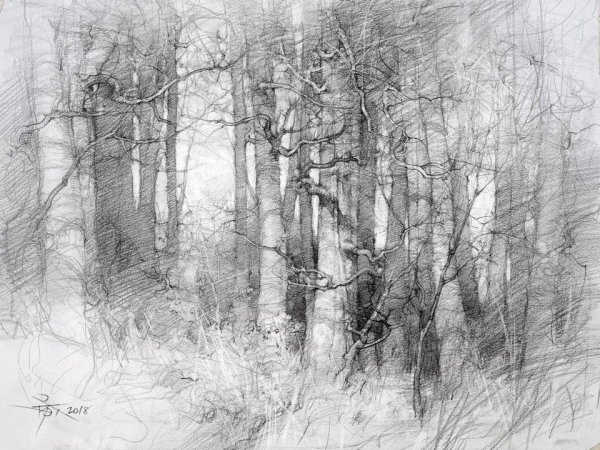 Наброски Саврасова