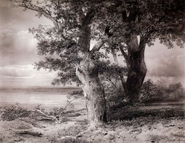 Саврасов дубы 1855