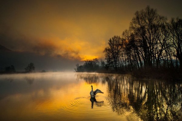 Профессиональные пейзажи