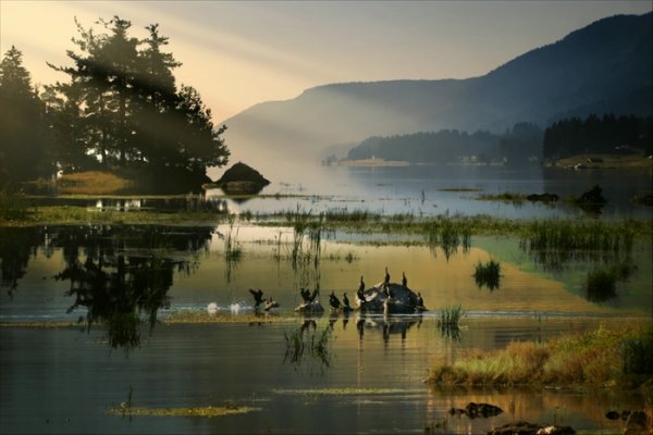 Фотографии природы знаменитых фотографов