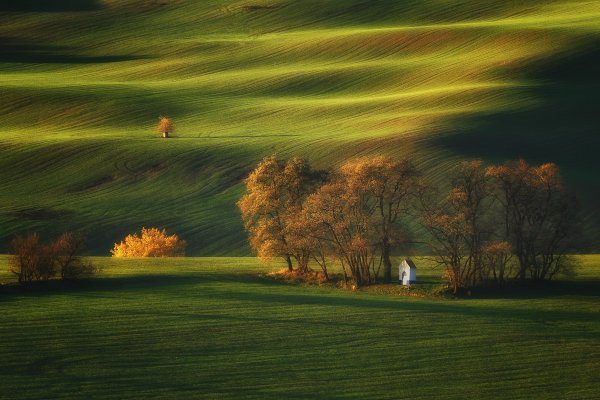 Профессиональные пейзажи