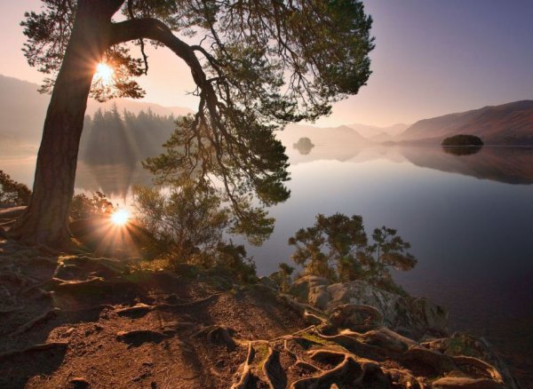 Созерцание красоты природы