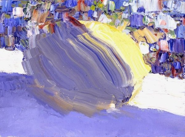 Бато Дугарович Дугаржапов