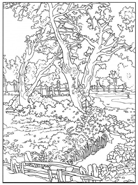 Трудные раскраска пейзаж