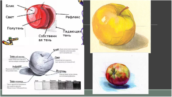 Яблоко свет тень полутень