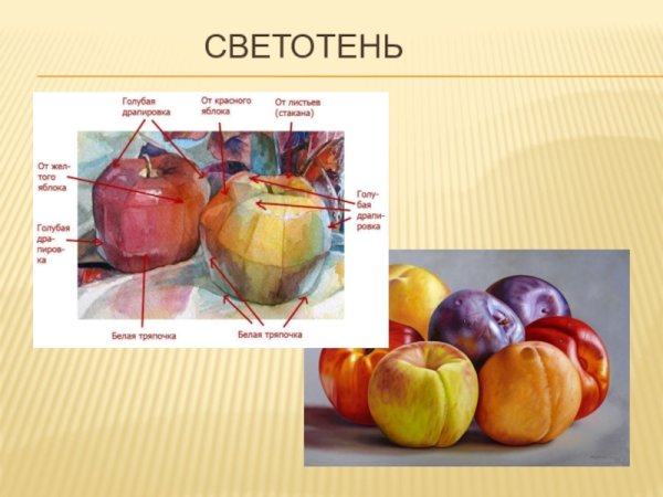 Законы светотени в живописи