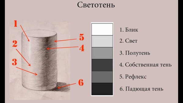 Схема свет тень полутень рефлекс