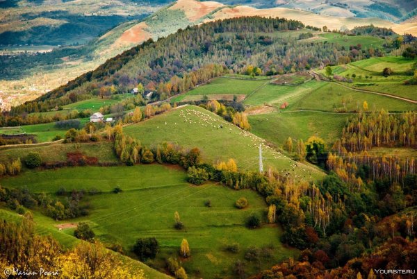 Румыния Карпаты Буковина