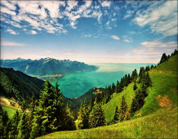 Природа Западной Европы