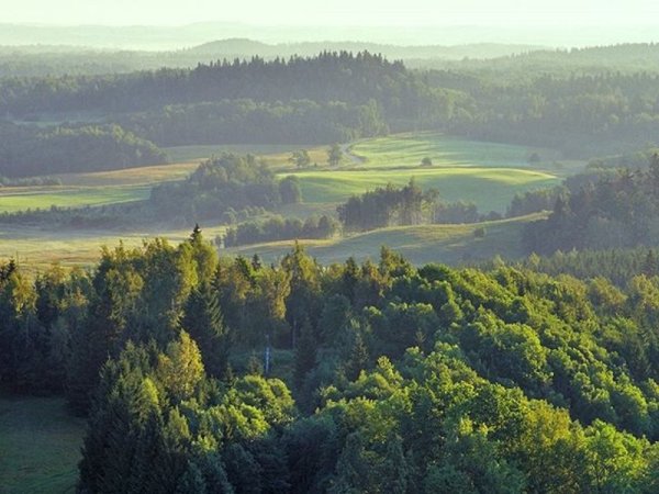 Латвия богатства