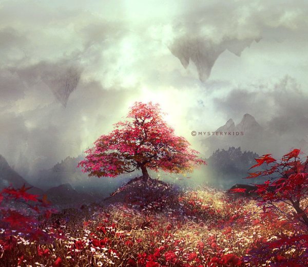 Красный лес Краснодарский край