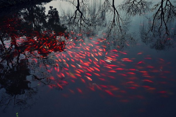 Арты окружения