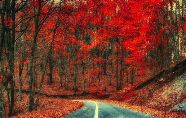 Аниме осень