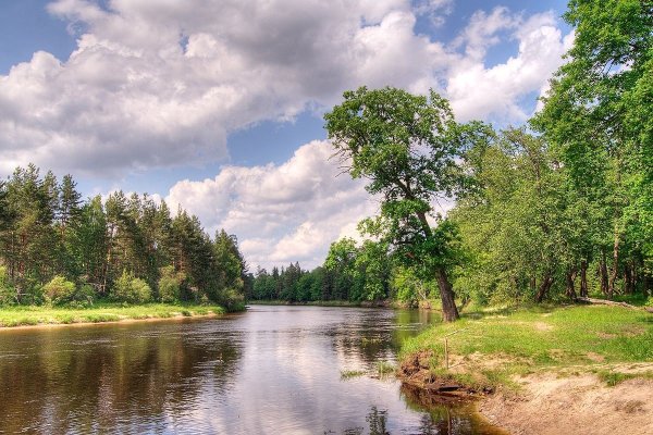 Живописные берега реки