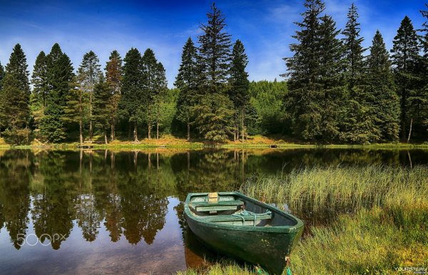 Озеро в лесу