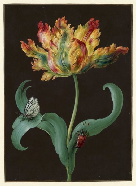 Художник Barbara Regina Dietzsch