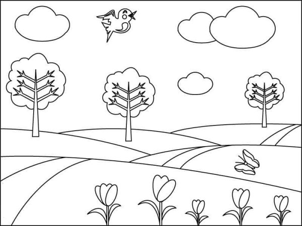 Радуга раскраска для детей