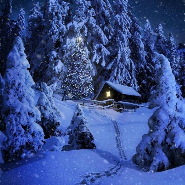 Новогодний пейзаж