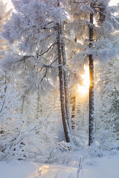 Новогодний пейзаж с Церковью