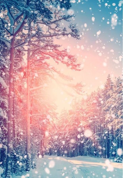 Красивые новогодние пейзажи