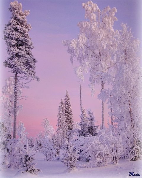 Thomas Kinkade Рождественские домики