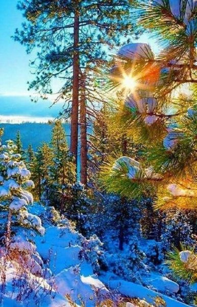 Новый год природа