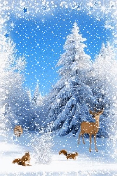 Заснеженная елка