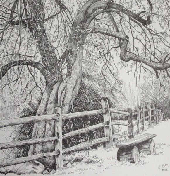 Пейзажи для выжигания по дереву