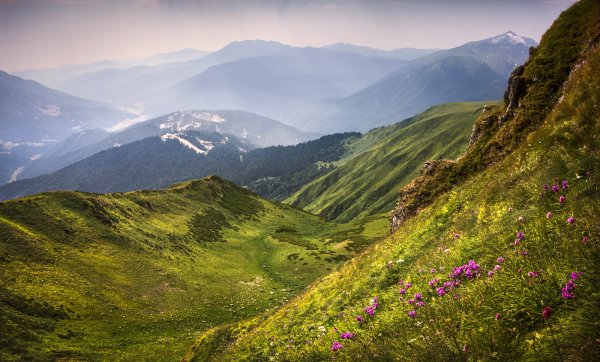 Сочи горы красная Поляна летом