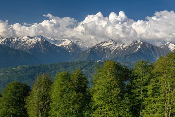 Красная Поляна горы