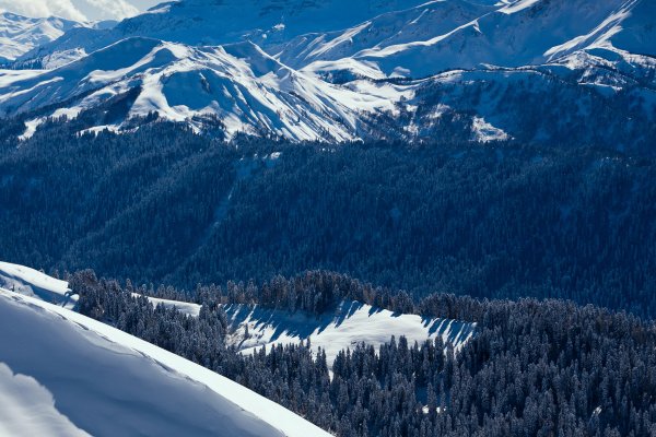 Поселок красная Поляна Сочи