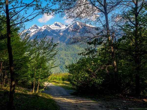 Красная Поляна горы