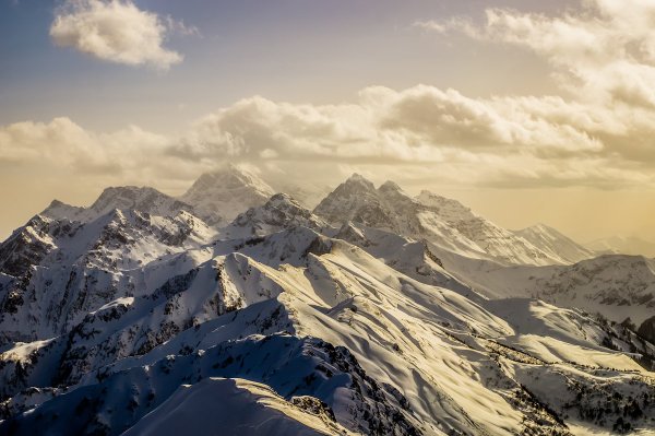 Сочи роза Хутор природа