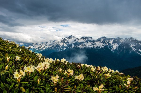 Рассвет красная Поляна Сочи