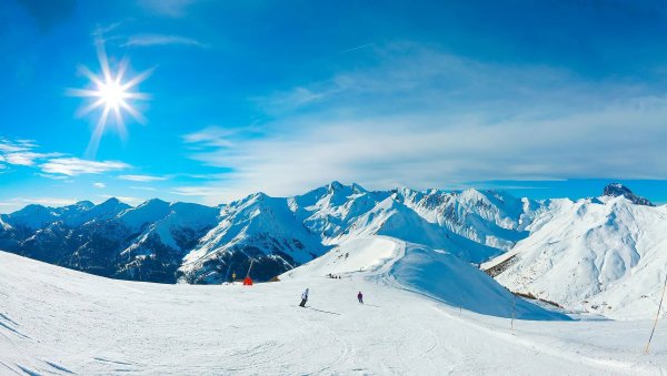 Сочи рододендроны красная Поляна