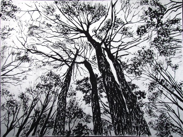 Сельский пейзаж в графике