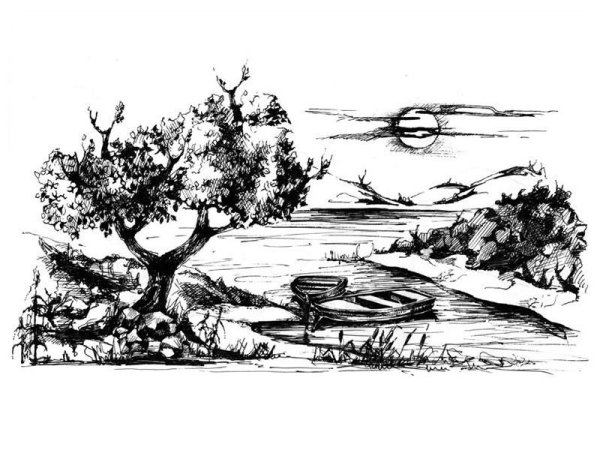 Дерево тушью и пером