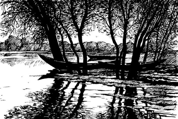 Природа в графике