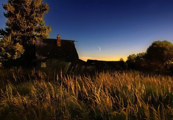 Ночь в деревне летом