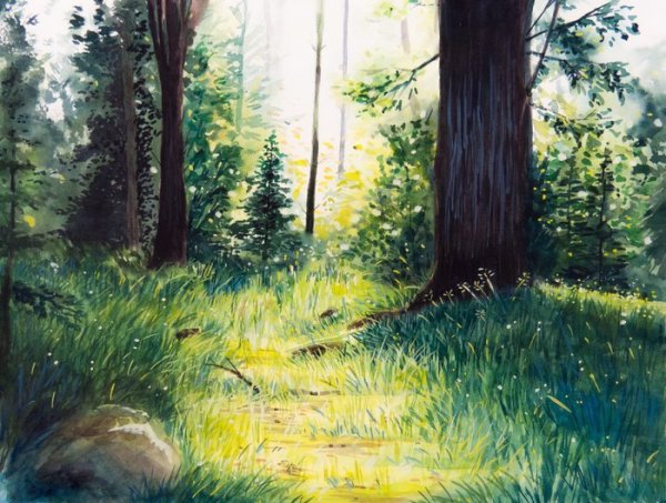 Пейзаж леса гуашью