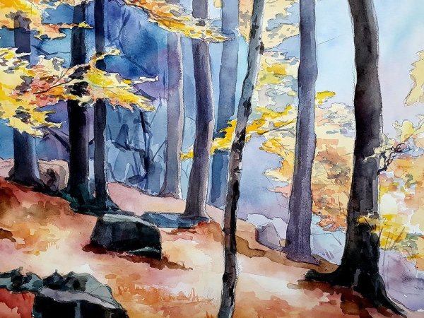 Пейзажи акварелью легкие лес