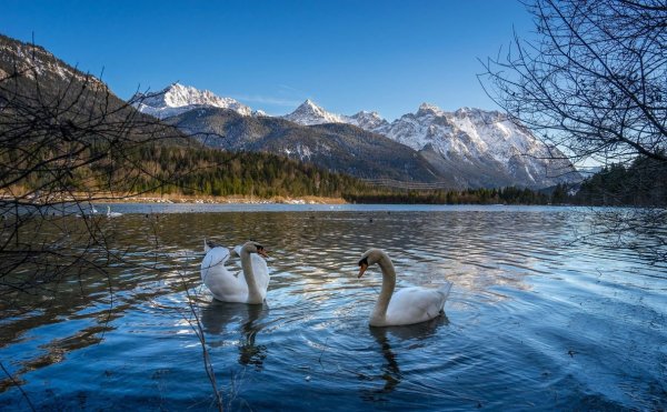 Лебединое озеро Абхазия