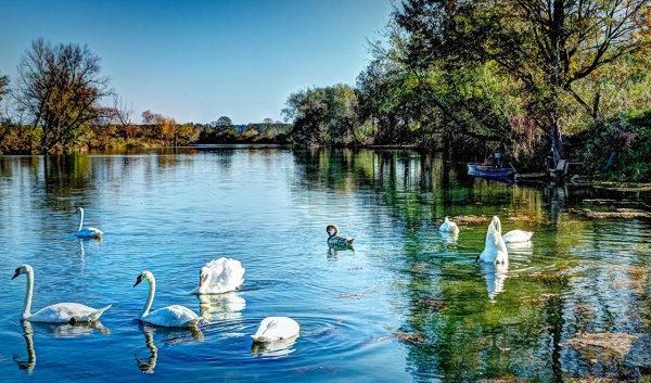 Лебединое озеро Абхазия