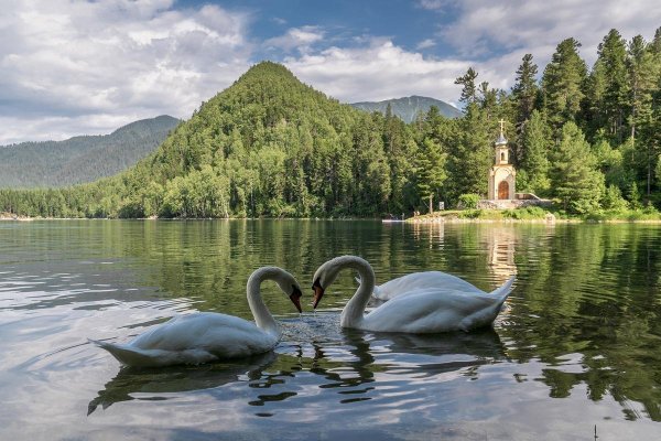 Сергей Стоев осенний пейзаж