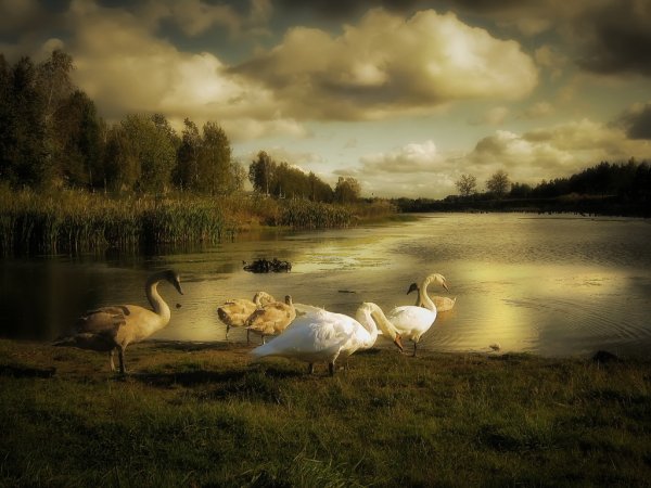 Закат на озере