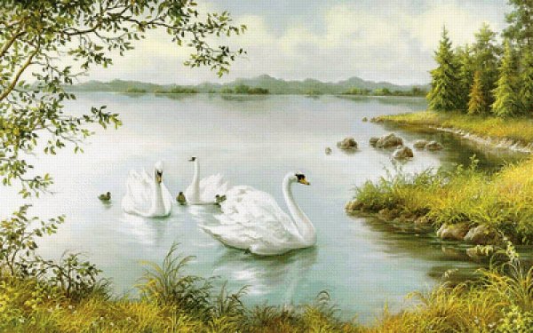 Лебеди на рассвете