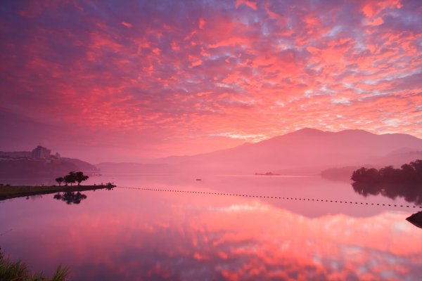 Розовый рассвет